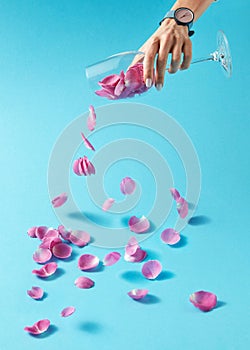 Woman`s hand with watch is pouring petals of pink rose from glass on a blue background. Place for text.