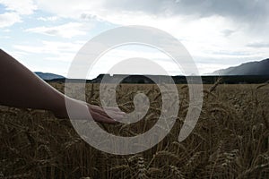 WomanÂ´s hand in whey in summer Spain