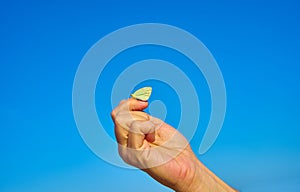 Woman`s hand with a yellow butterfly, on a background of blue sky. Freedom, ok, happiness concept