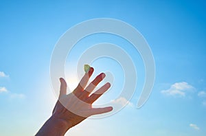 Woman`s hand with a yellow butterfly, on a background of blue sky and the sun. Freedom, ok, happiness concept