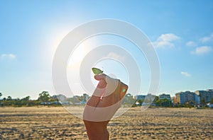 Woman`s hand with a yellow butterfly, on a background of blue sky and the sun. Freedom, ok, happiness concept