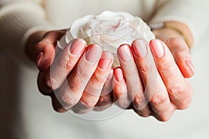 Woman`s hands with beautiful tender manicure holding beautiful white rose.