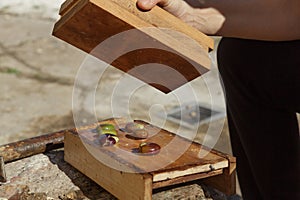 Woman& x27;s hands breaking seasonal olives, on wood.