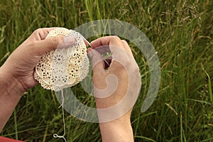 Woman`s hands crocheting doily with hook, handmade process closeup