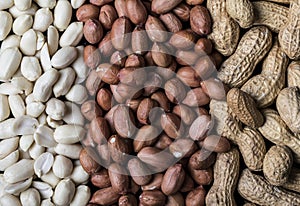 Woman`s hands with different cereals