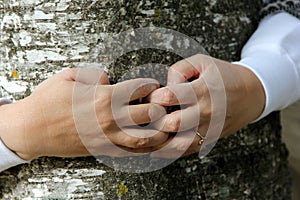 The woman`s hands encircle the tree trunk. hands with fingers together