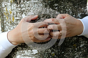 The woman`s hands encircle the tree trunk. hands with fingers together