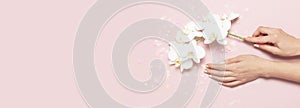 Woman`s hands with gentle manicure hold branch of White Phalaenopsis orchid flowers on pastel pink background with festive