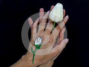 A woman`s hands hold a white tulip and on one of her hands she has the same painted flower