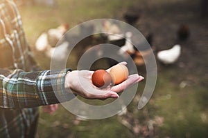 Woman`s hands holding a chicken eggs against of small garden with chickens. Diversity of chicken eggs.