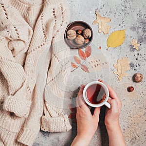 Woman`s hands holding a cup of tea., autumn leaves on concrete background. Cozy beige sweater