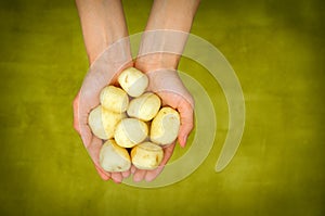 Woman's hands holding fresh potatoes close up shoot