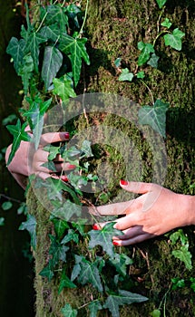 Woman& x27;s hands hugging a tree