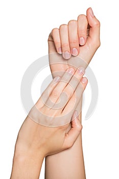 Woman`s hands with neat manicure. Isolated