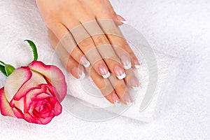 Woman's hands with perfect french manicure