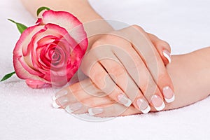 Woman's hands with perfect french manicure