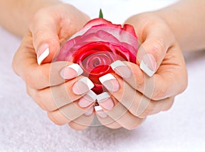 Woman's hands with perfect french manicure