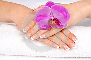 Woman's hands with perfect french manicure