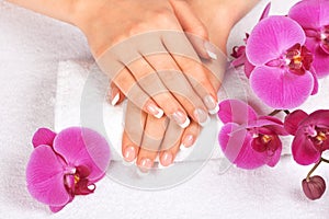 Woman's hands with perfect french manicure