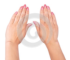 Woman& x27;s hands with pink nails manicure Isolated on white background.