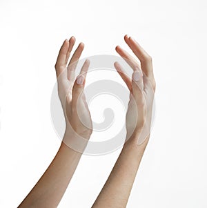 Woman's Hands Reaching Up photo