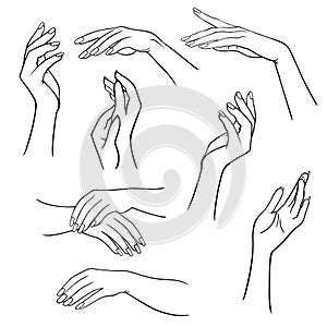 Woman`s hands set