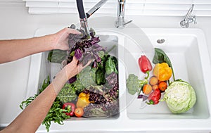 Woman`s hands washing lettuce leaves and other vegetables for making vegetarian salad