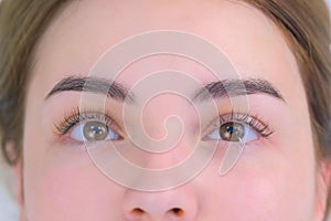 Woman`s lashes after beauty procedure of eyelash lifting and laminating, closeup