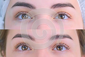 Woman`s lashes after and before beauty procedure of eyelash lifting and laminating, closeup photo