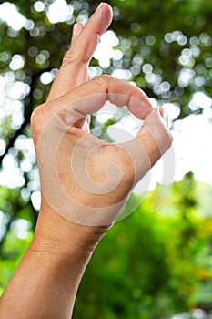 Woman`s left hand symbol meaning ` OK ` in bokeh green garden background, Asian body skin part, Symbol, Gesturing, Body Language