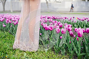 Woman`s legs in a field of tulips