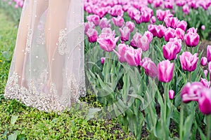 Woman`s legs in a field of tulips
