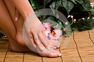 Woman's pedicure and manicure feet/hands