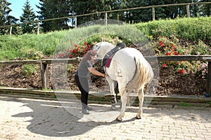 Woman saddles horse. photo