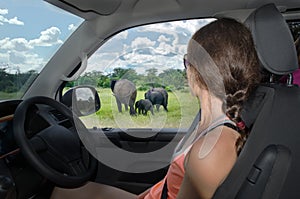 Woman in safari car vacation in South Africa, looking at elephant in savannah, african animals drive
