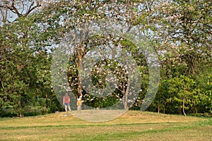 Woman and sakura tree in park