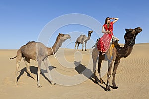 Woman in sari riding a camel.