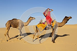 Woman in a sari riding a camel train.