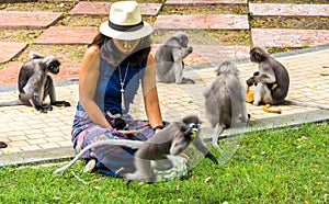 Woman in sarong and whit fedora sitting on ground surrounded by dusky monkeys