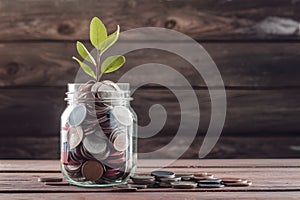 Woman saving coins in jar, dreaming of travel adventures