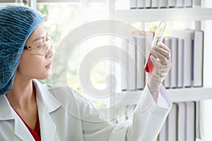 Woman scientist or chemist checking red liquid substance in test tube