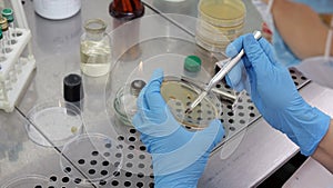 Woman scientist conducting research in the laboratory. Biotechnologies.