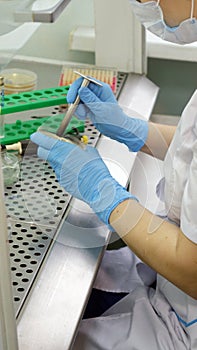 Woman scientist conducting research in the laboratory. Biotechnologies.