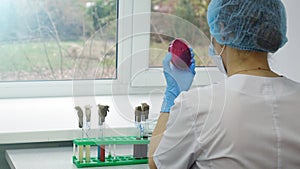 Woman scientist conducting research in the laboratory. Biotechnologies.