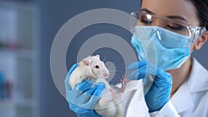 Woman scientist holding lab rat, medicine development, tests on animals