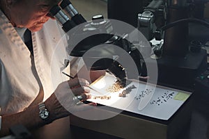 Woman scientist looking through microscope