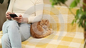 Woman with scottish cat on the sofa with phone, chatting using smartphone