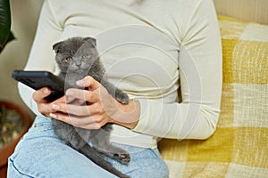Woman with scottish kitten on the sofa with phone, chatting using smartphone