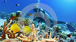 Woman scuba diver admiring beautiful coral reef and a couple of beautiful yellow coral fish