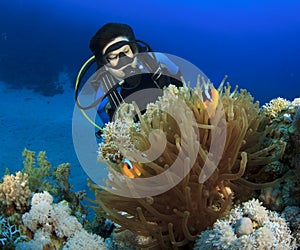 Woman Scuba Diver finds Nemo